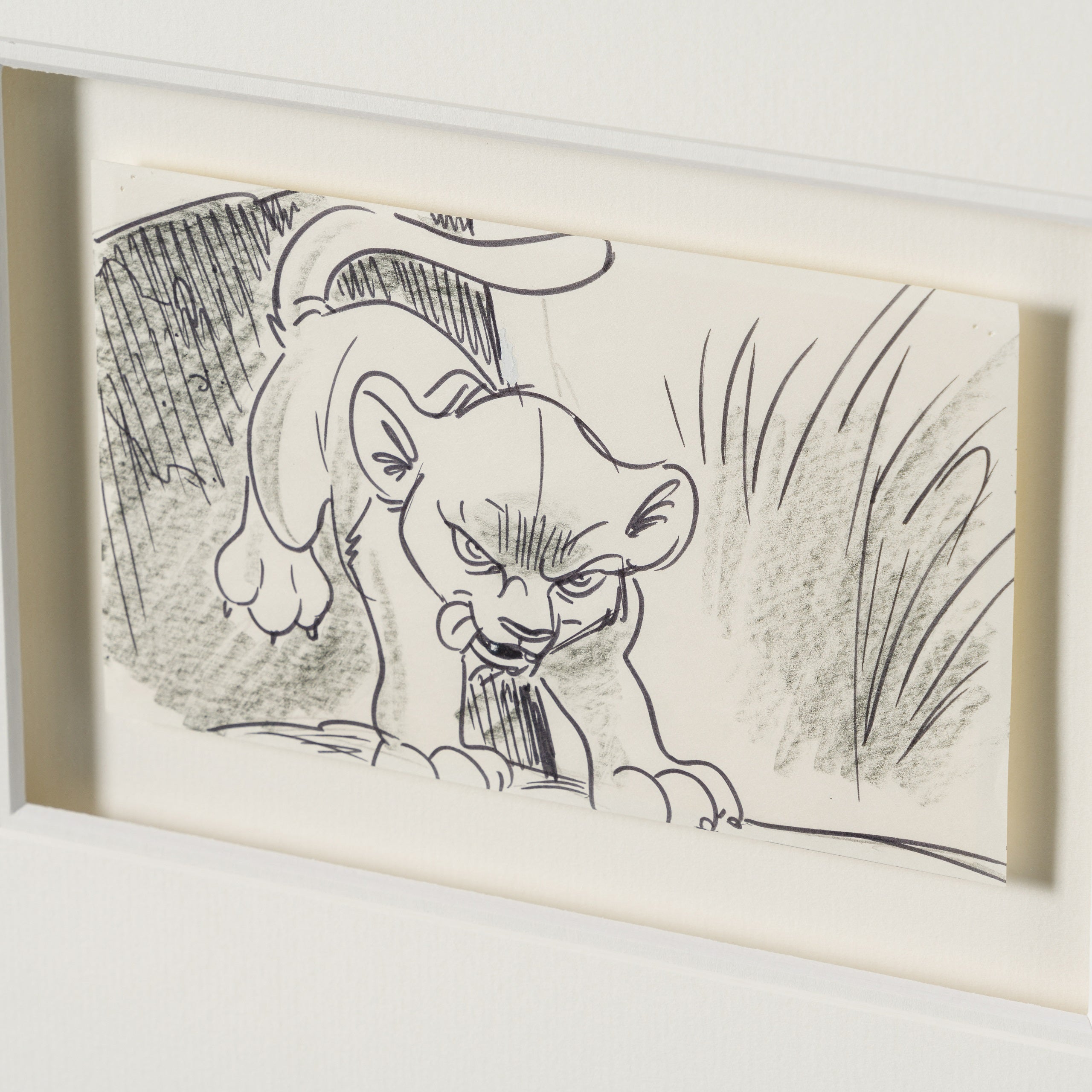 VIN ORI POR 27547 4 Simba (2) Storyboard 