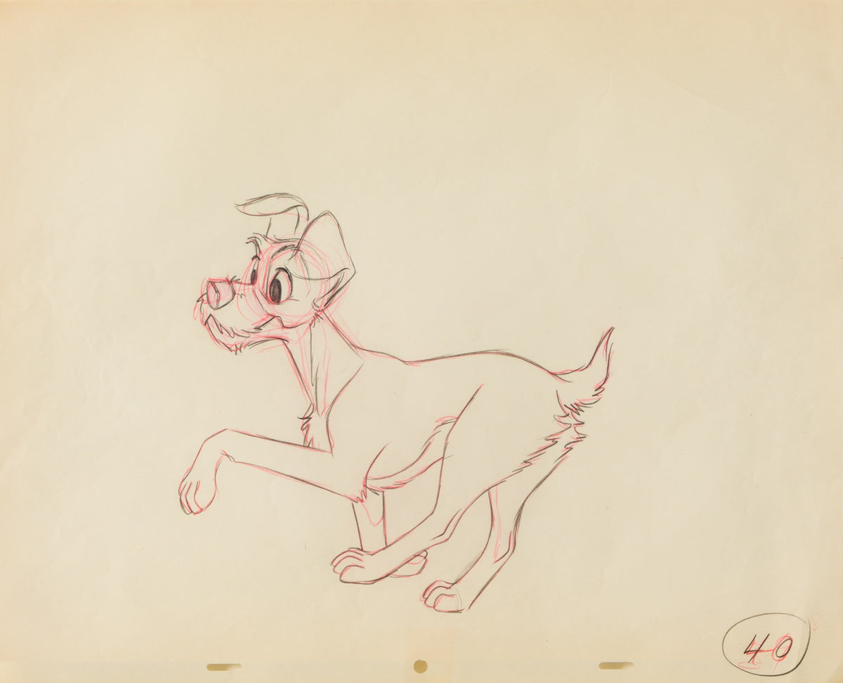 VIN ORI POR 28903 31 Tramp 