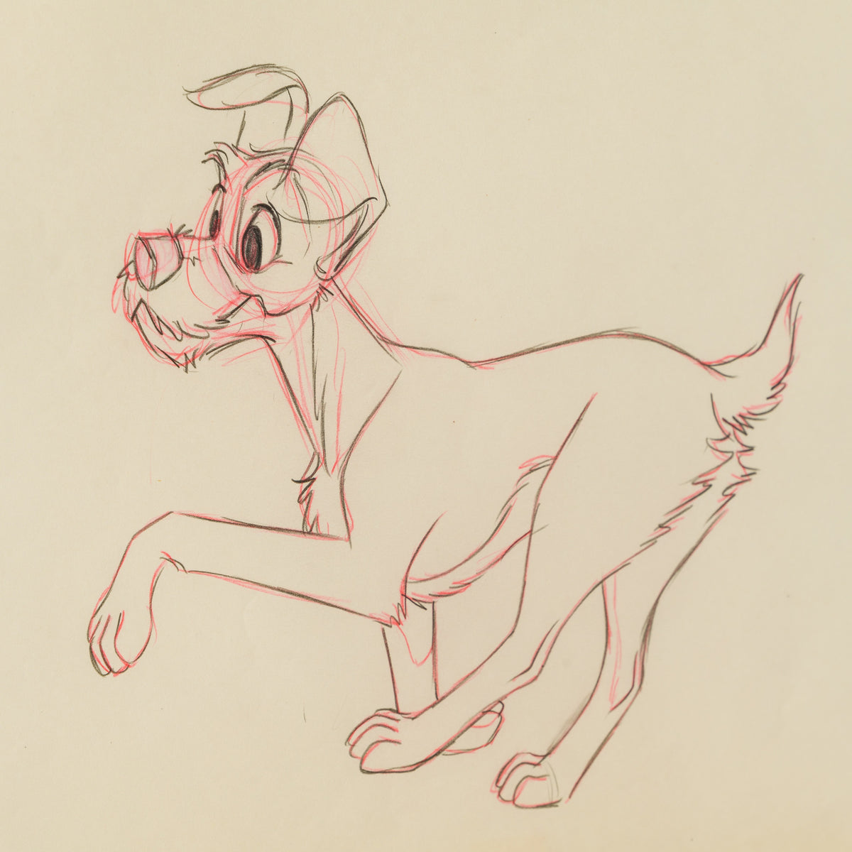 VIN ORI POR 28903 5 Tramp 