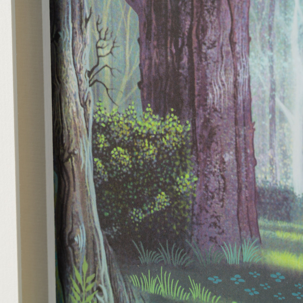 VIN ORI POR 28924 7 Flora, Fauna, Merryweather 1 