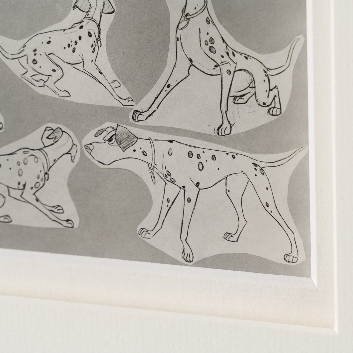 VIN ORI POR 28939 6 Pongo 