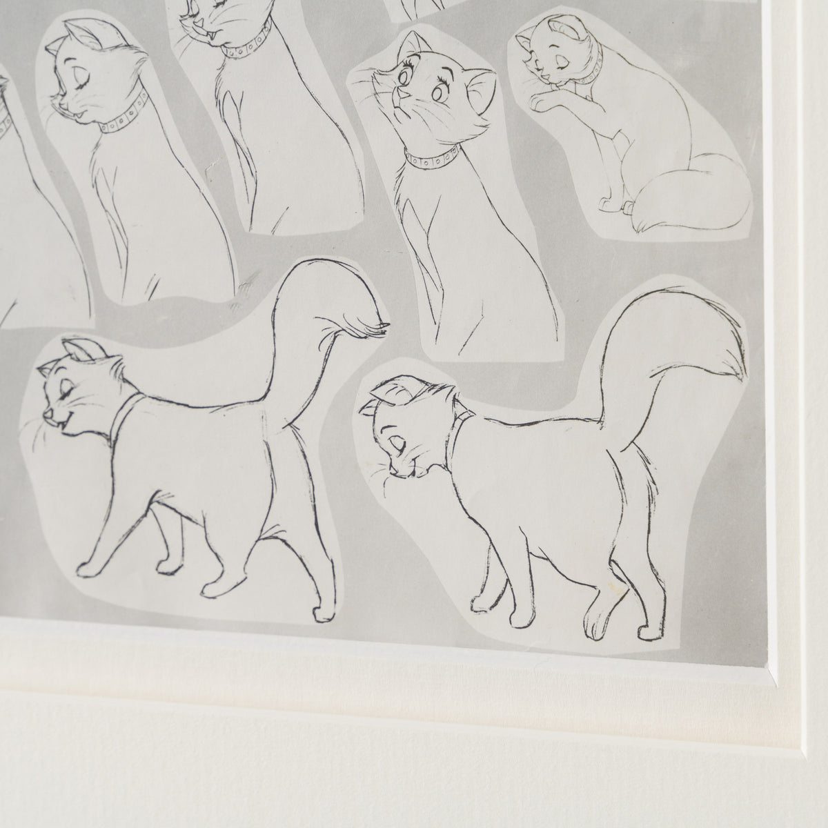 VIN ORI POR 28950 6 Duchess 1 