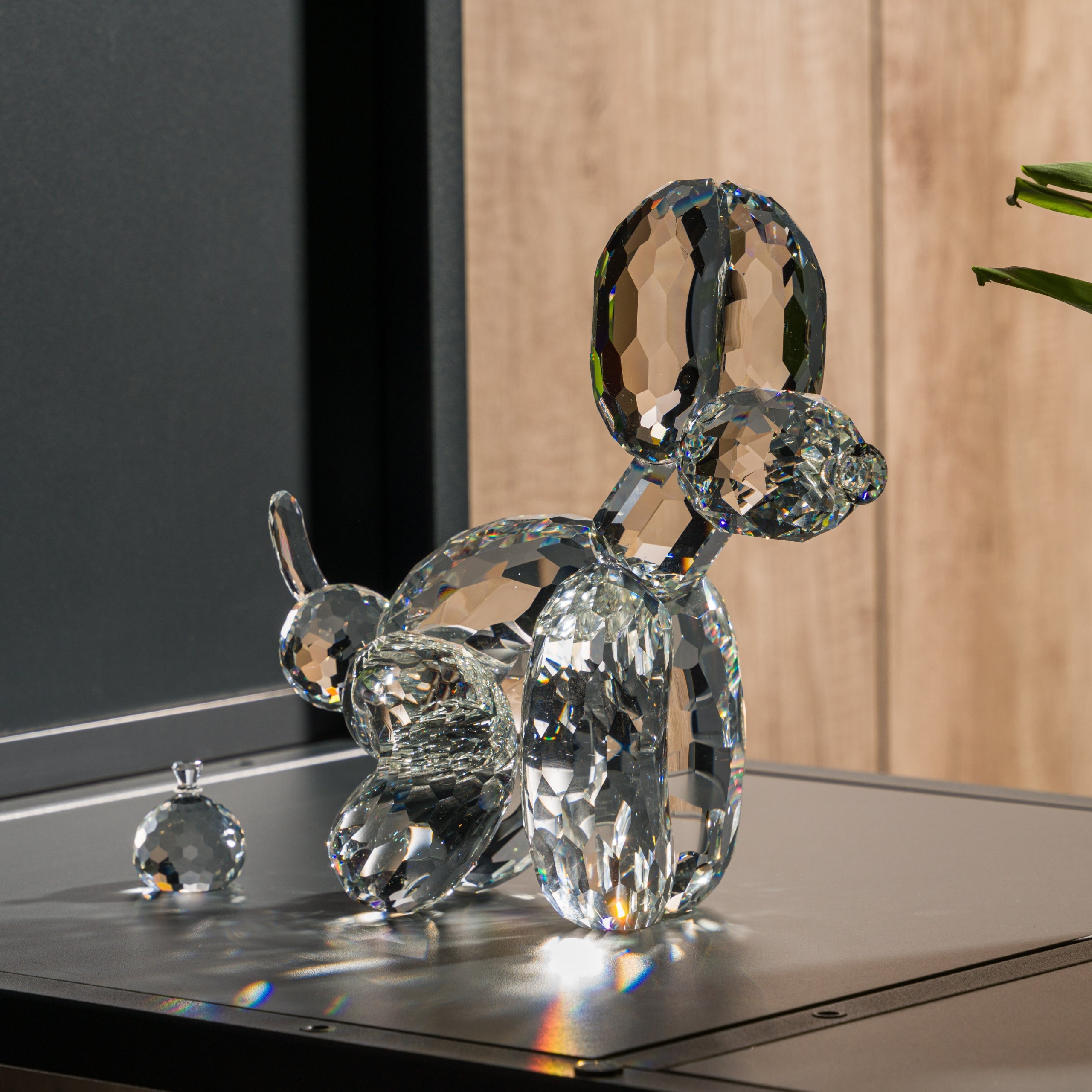 whatshisname crystal dog (3) 