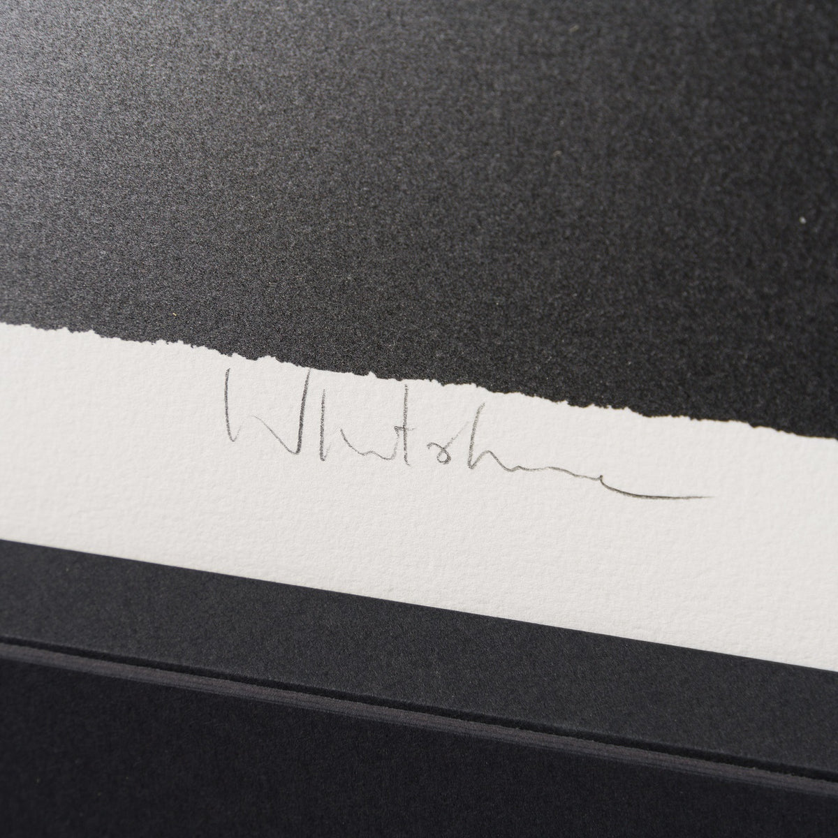 WHN 3 Gone Andy s Toys (Small) 