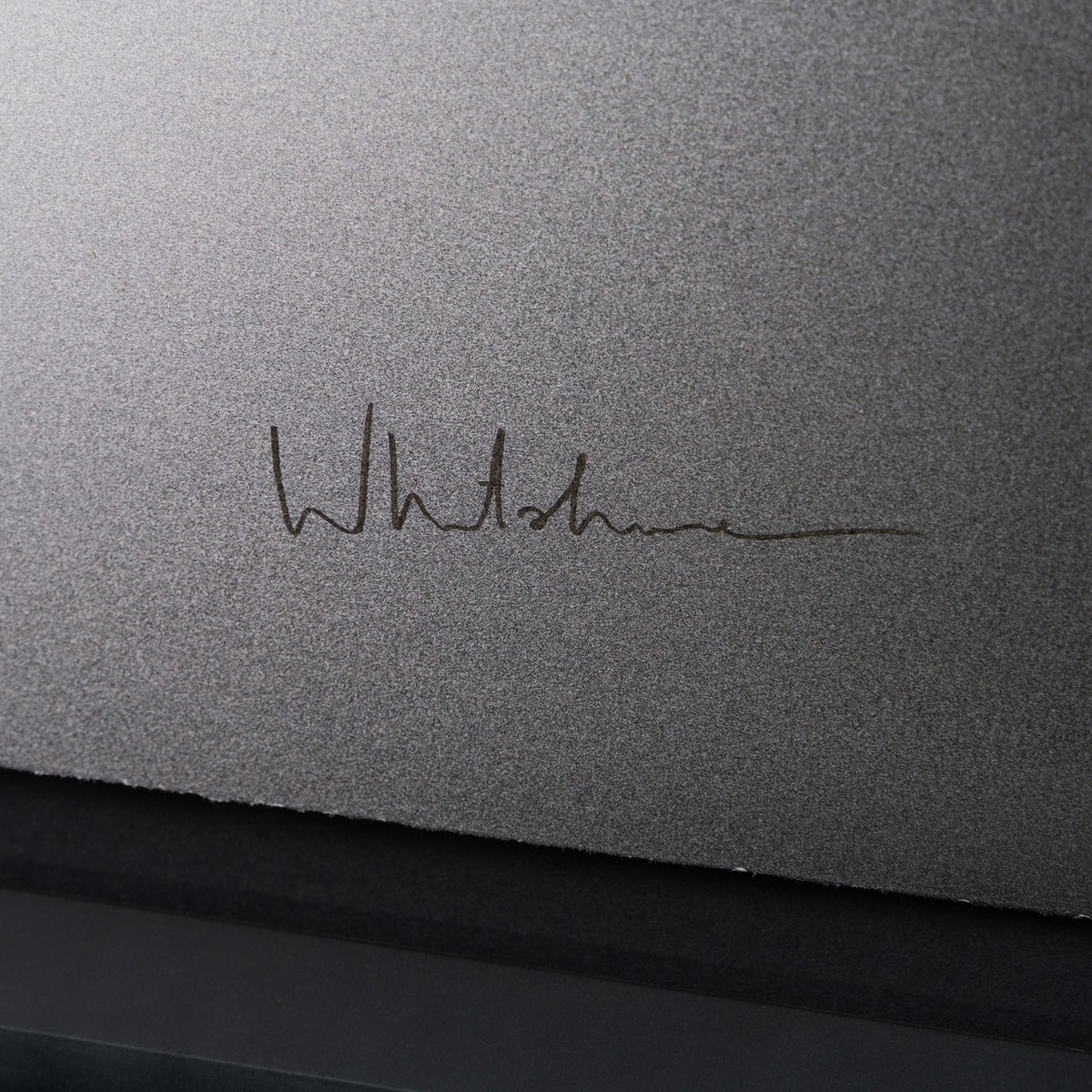 WHN 3 Gone Andy s Toys 