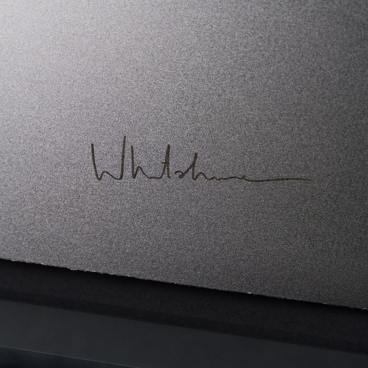 WHN 3 Gone Andy s Toys 