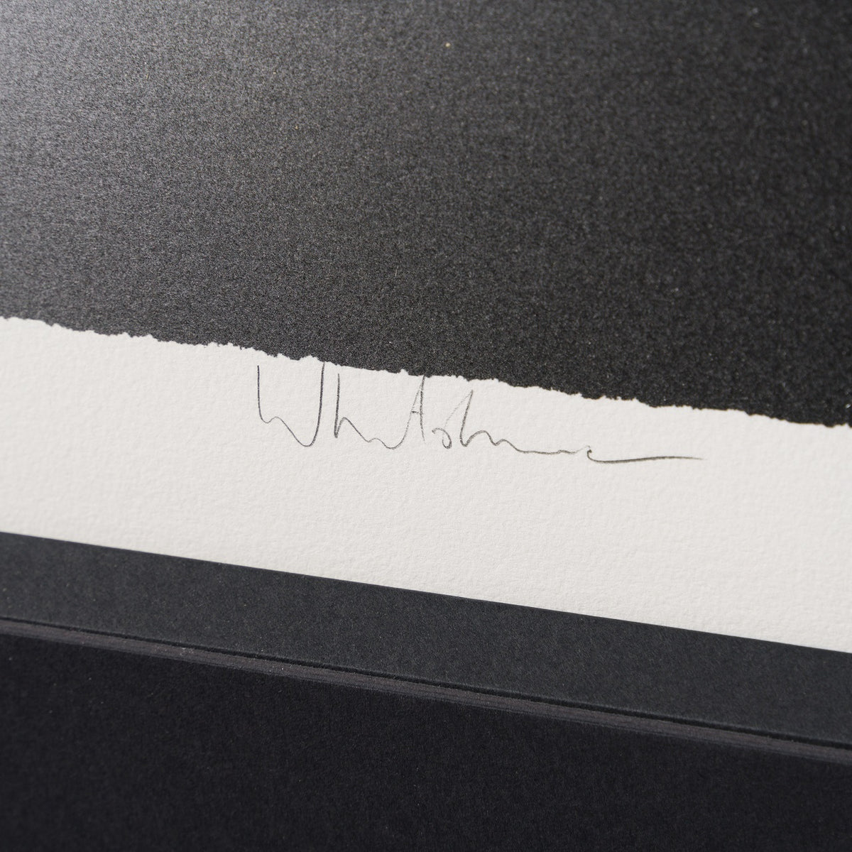 WHN 3 Gone Bare Necessities (Small) 