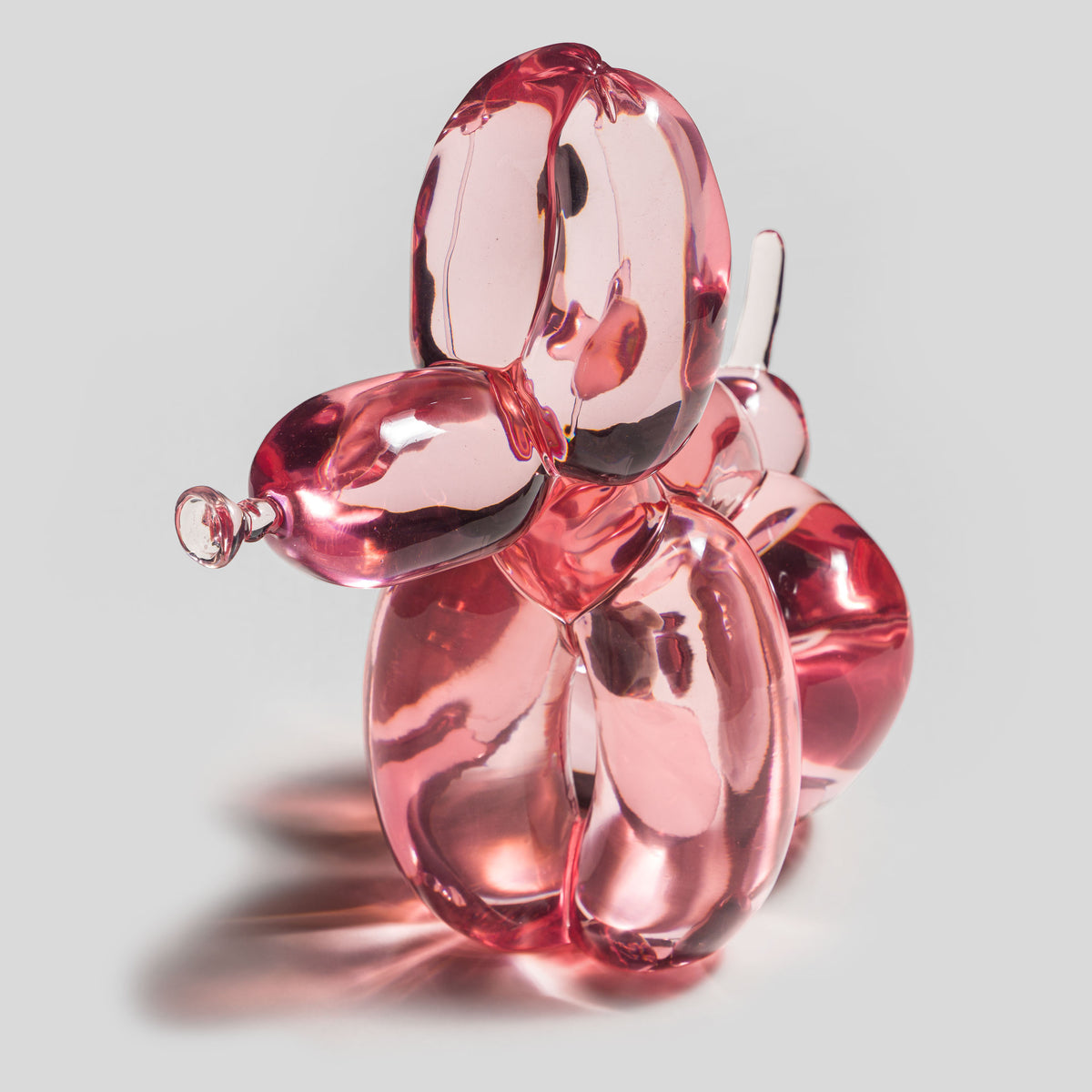 WHN 3 POPek Jelly Dog   Candy Pink 