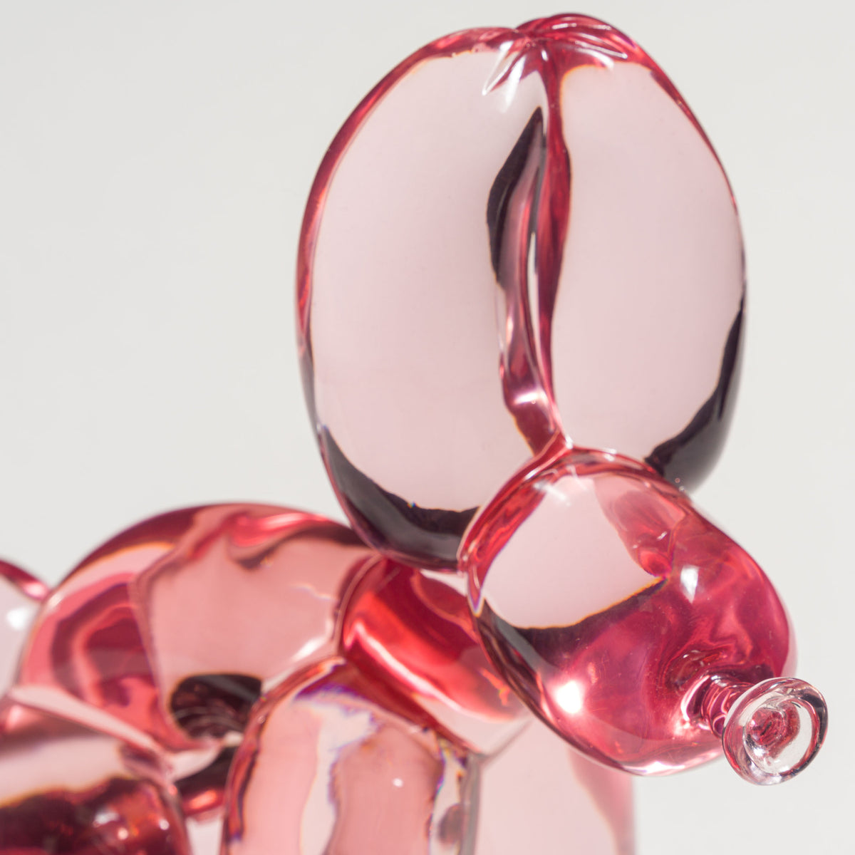WHN 5 POPek Jelly Dog   Candy Pink 
