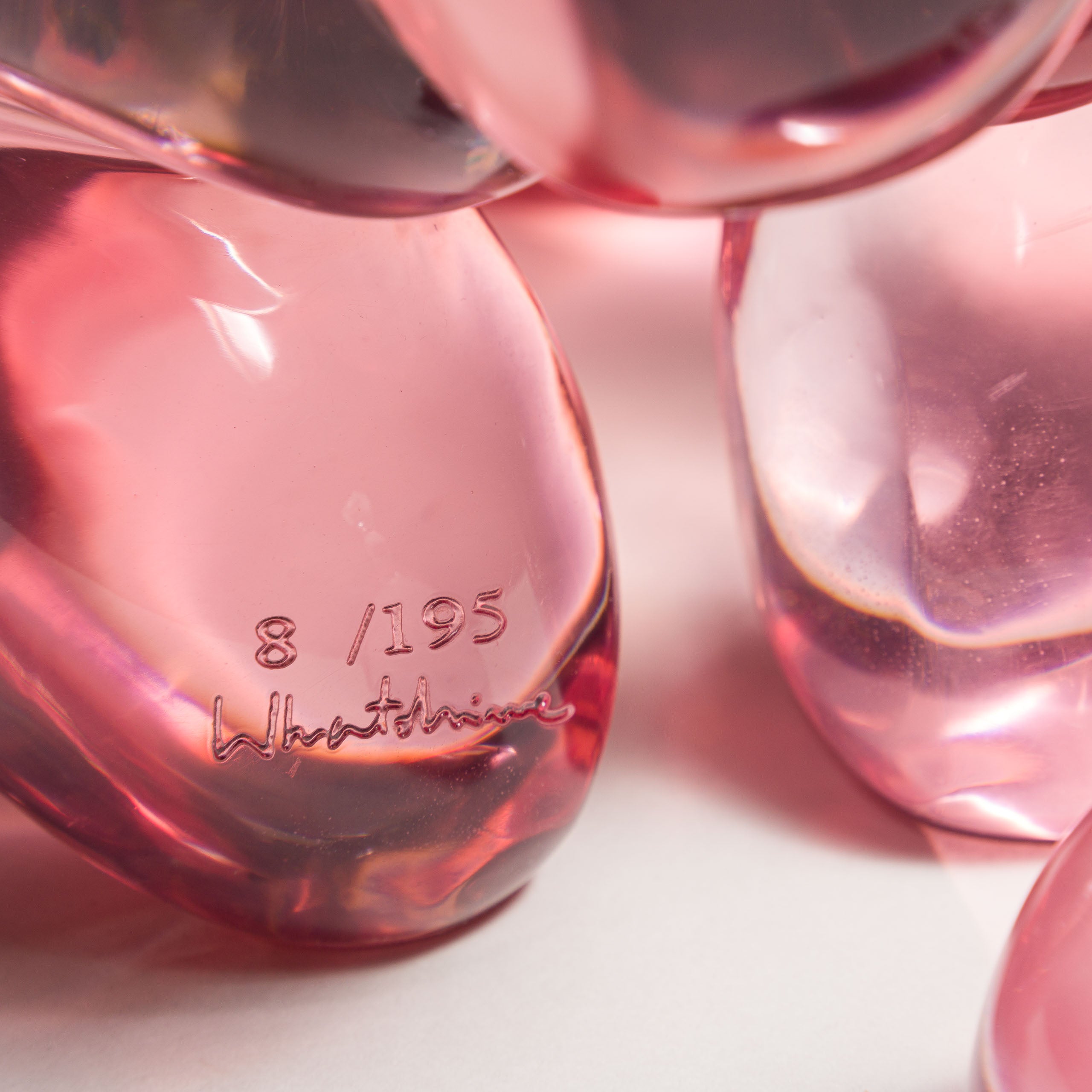 WHN 8 POPek Jelly Dog   Candy Pink 