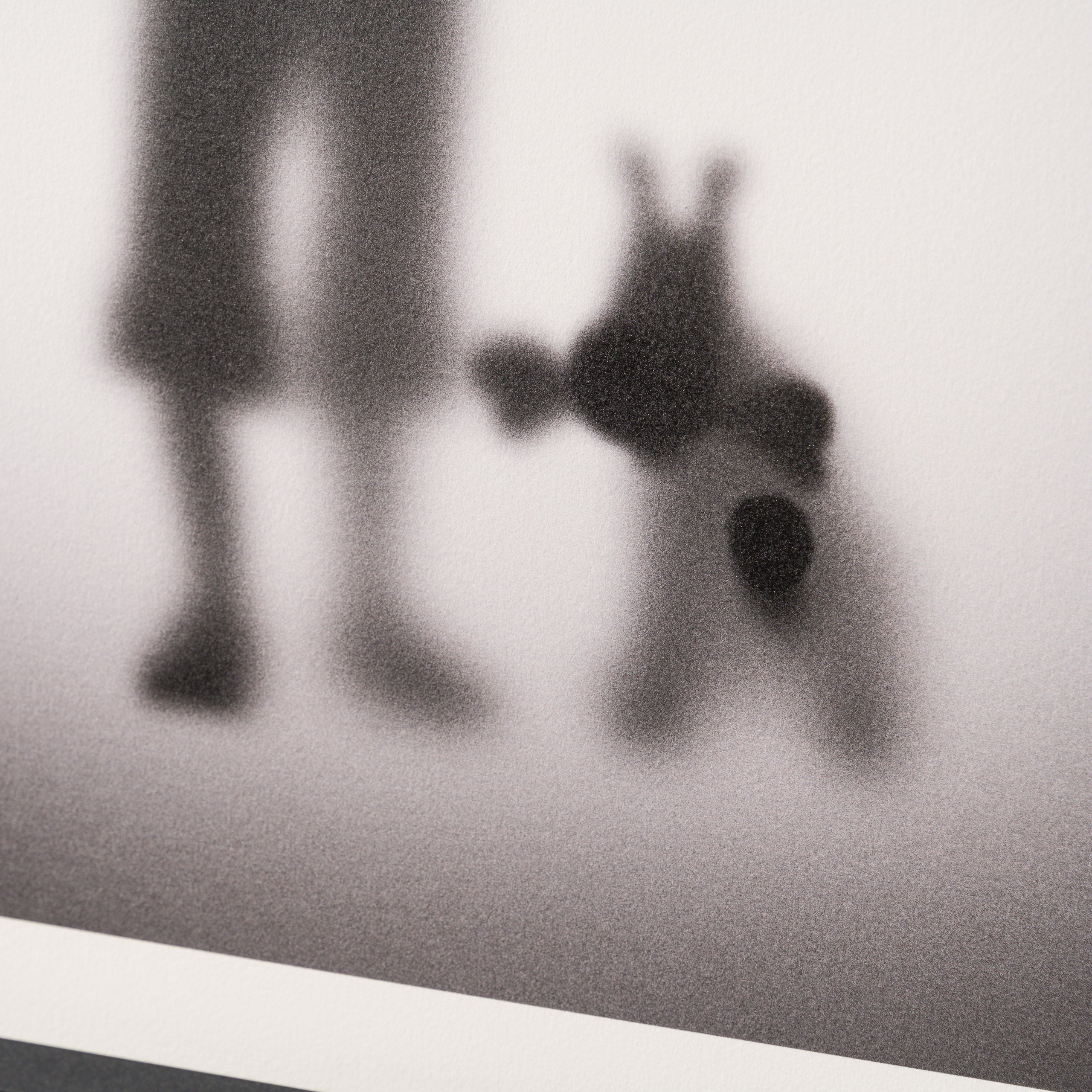 Product image 2 for whatshisname-gone-adventurin