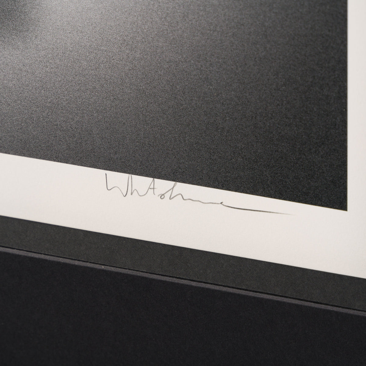 Product image 1 for whatshisname-gone-autumn-2024-set-of-two-medium