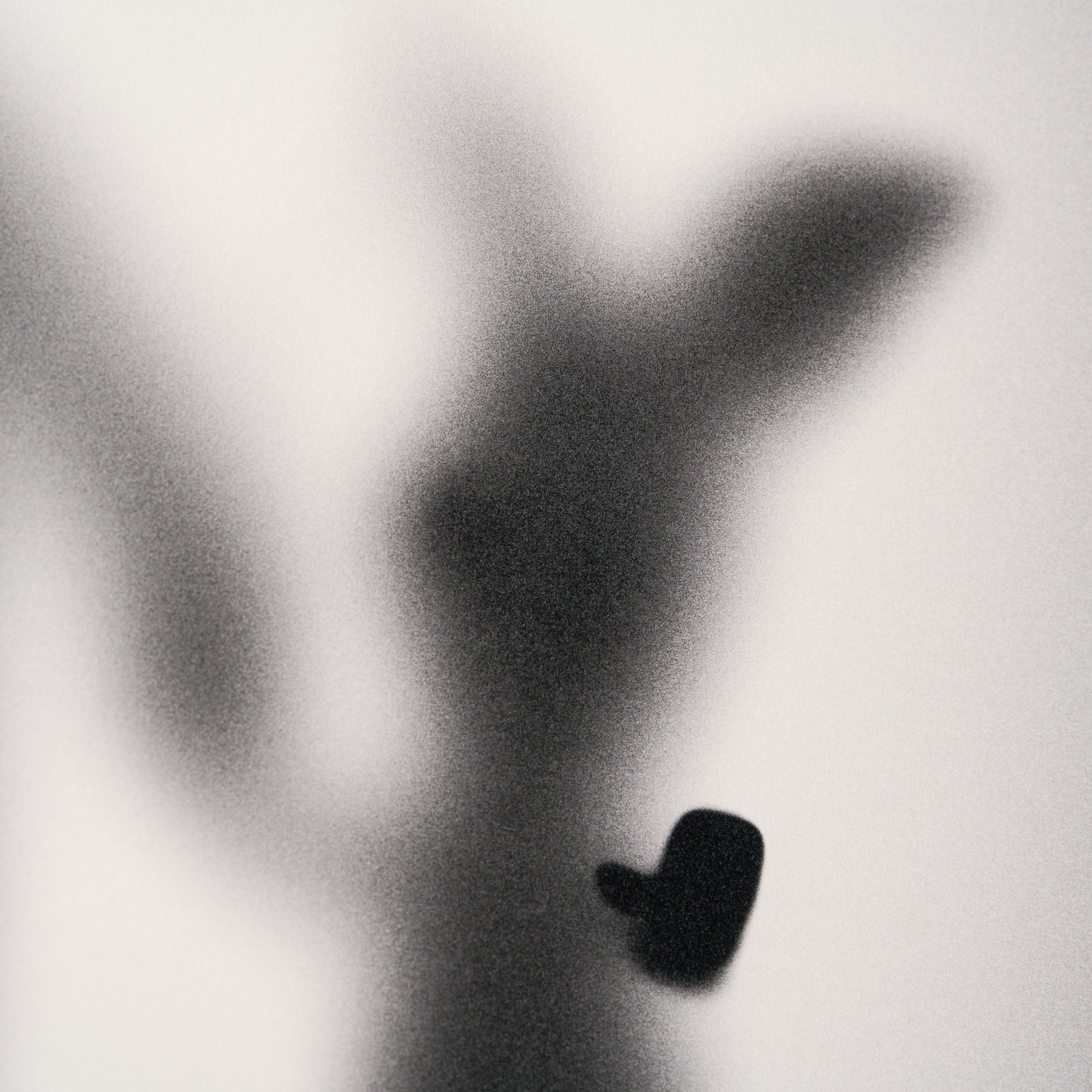 WHN Gone, Bear and Pig 6 