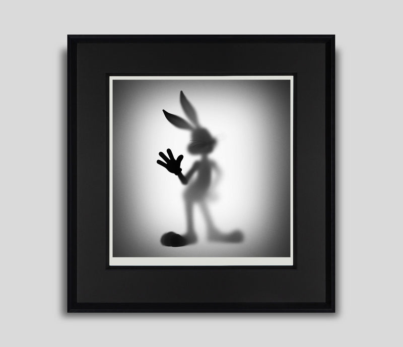 WHN GONE BUNNY 60x60CM F 