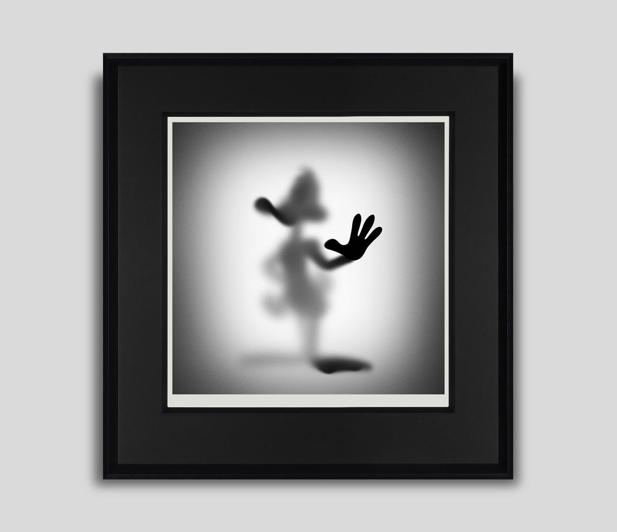 WHN GONE DUCK 60x60CM F 