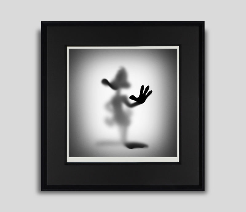 WHN GONE DUCK 60x60CM F 