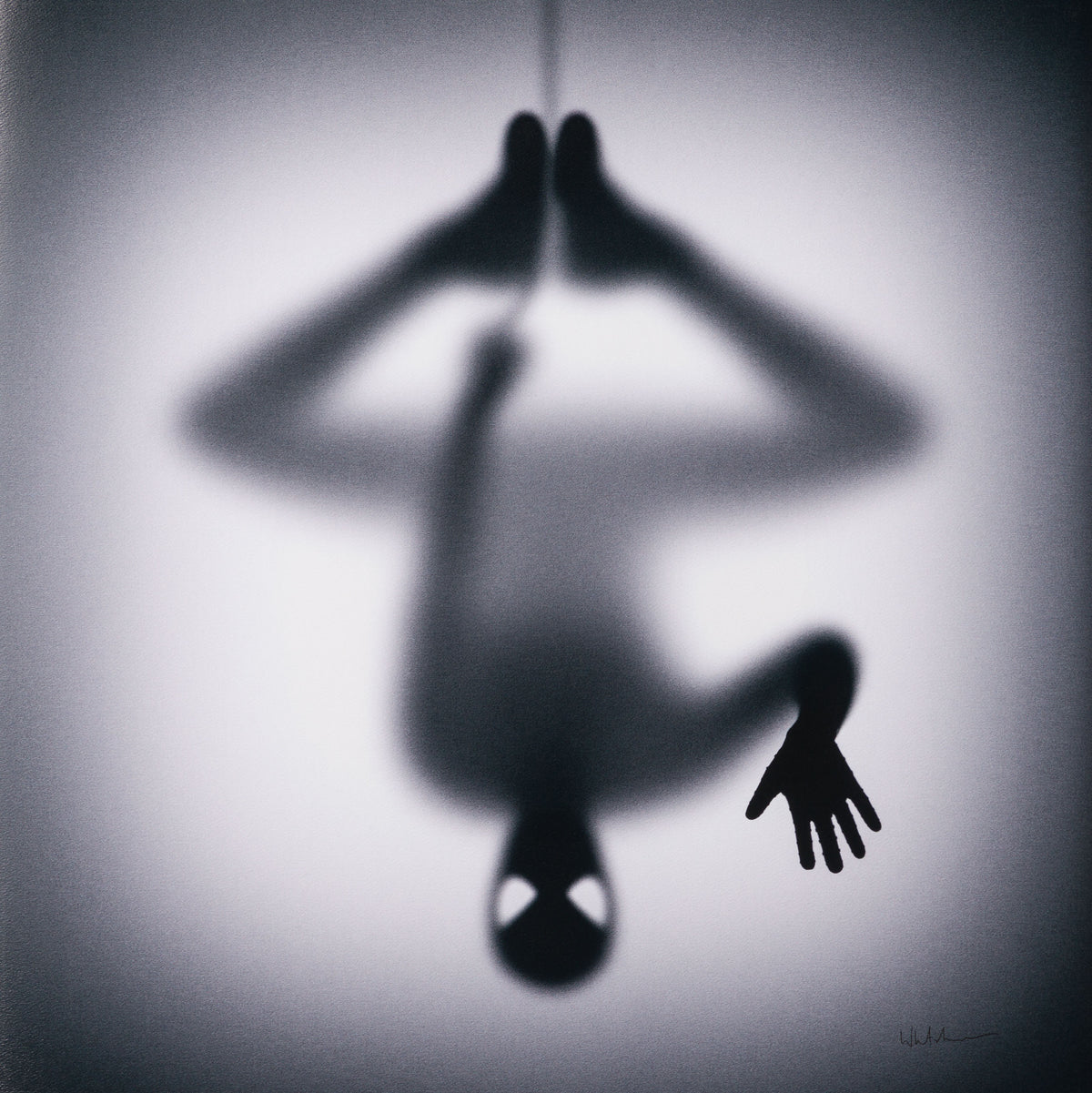 WHN Gone, Peter LARGE 31 