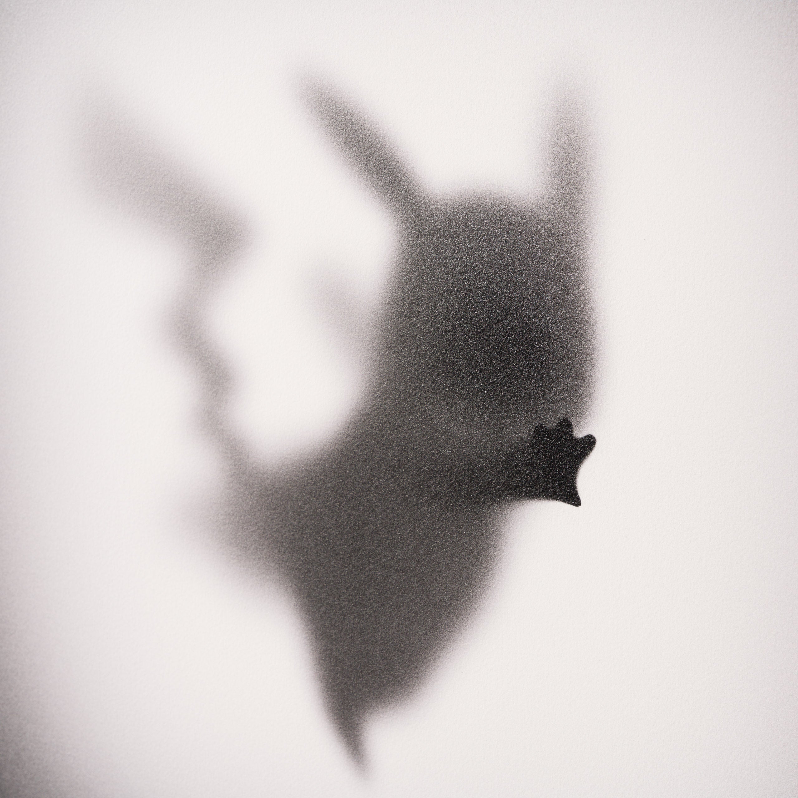 WHN Gone, Pika Pika 4 