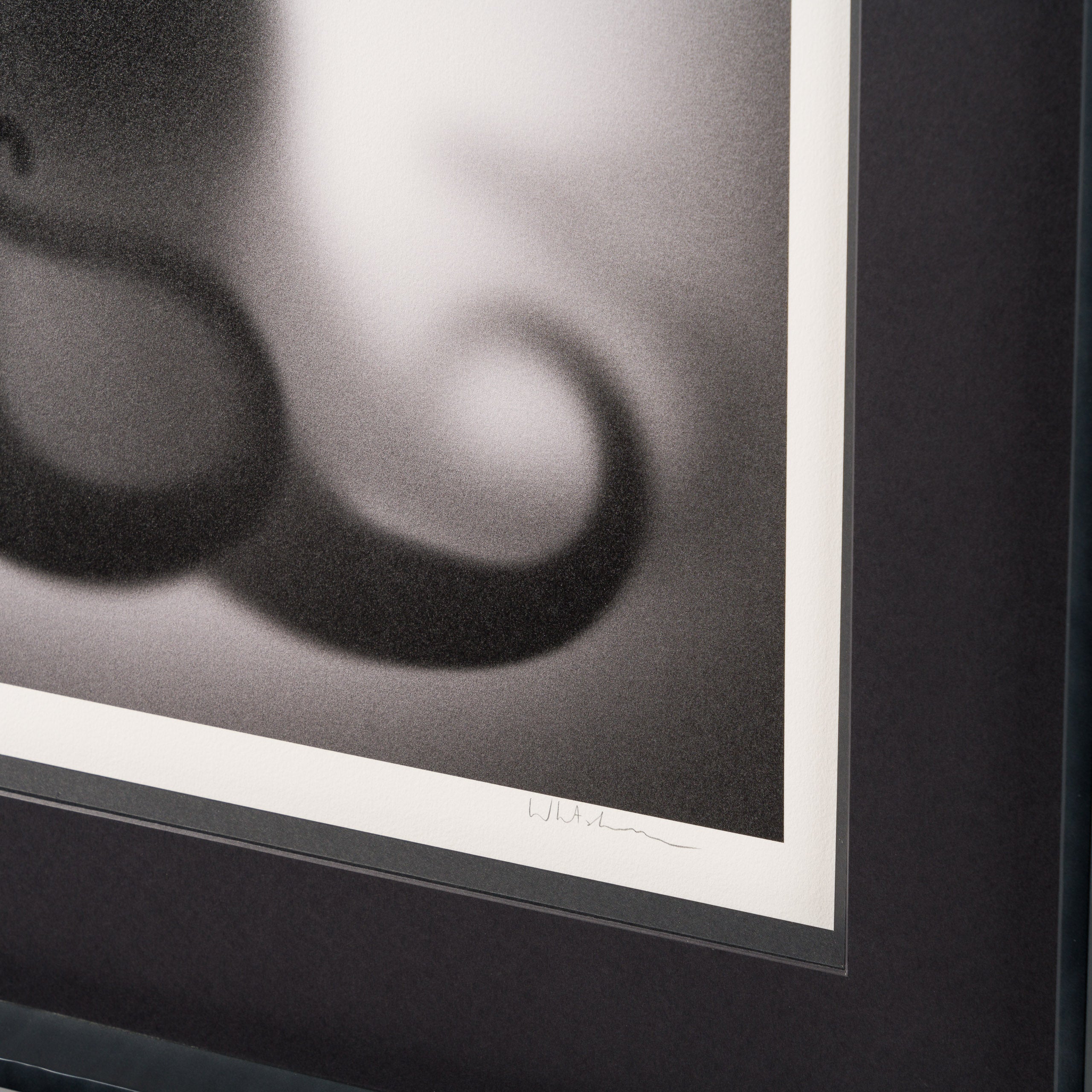 WHN Gone, Sea Witch 5 