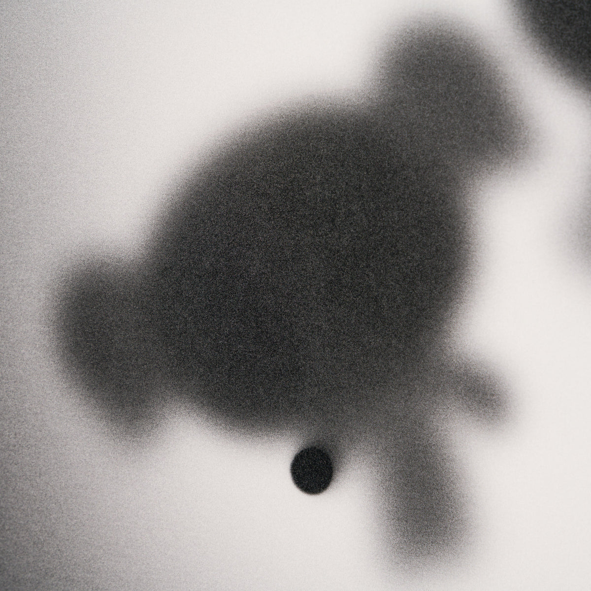 WHN Gone, Sugar, Spice and All Things Nice 5 