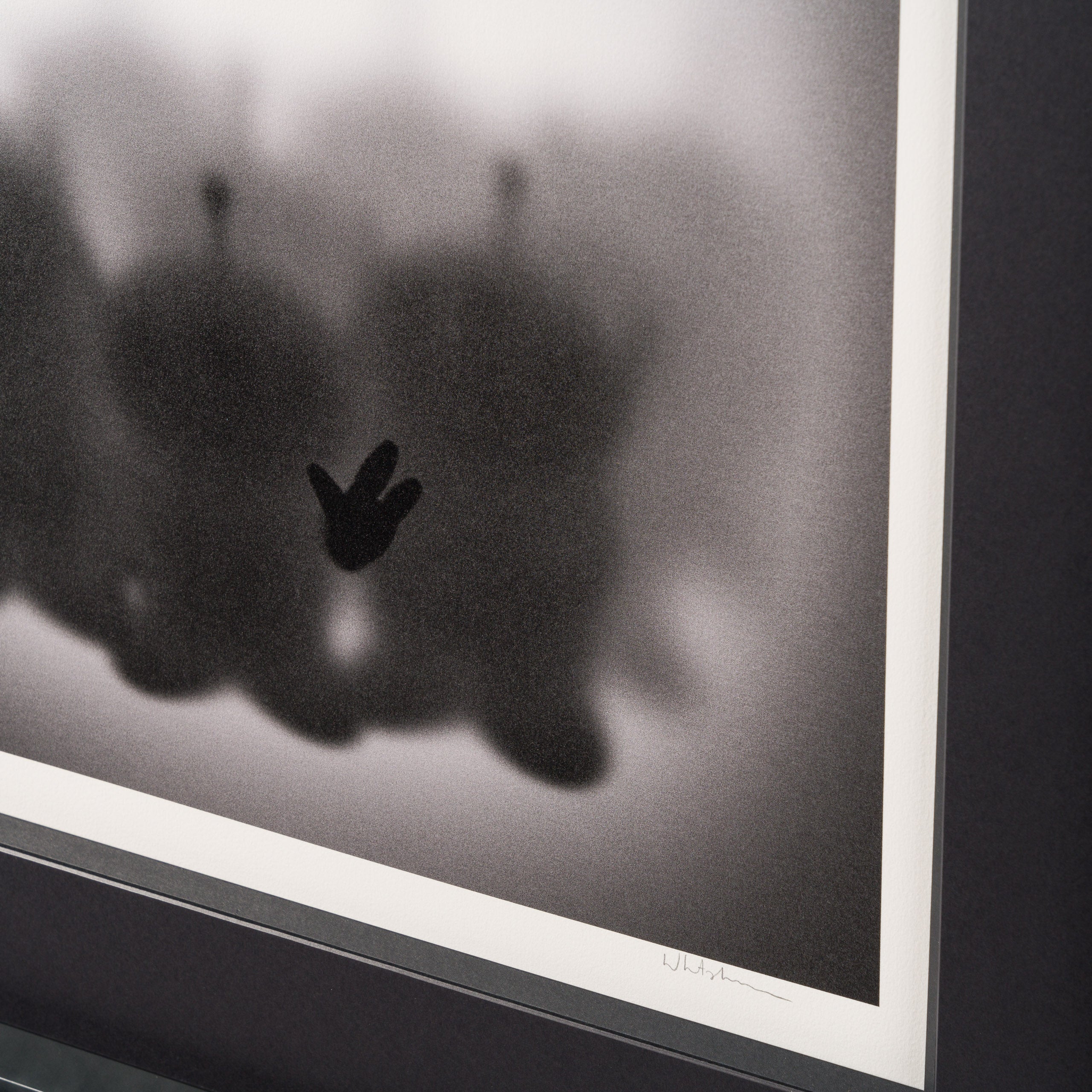 WHN Gone, The Claaaw 5 