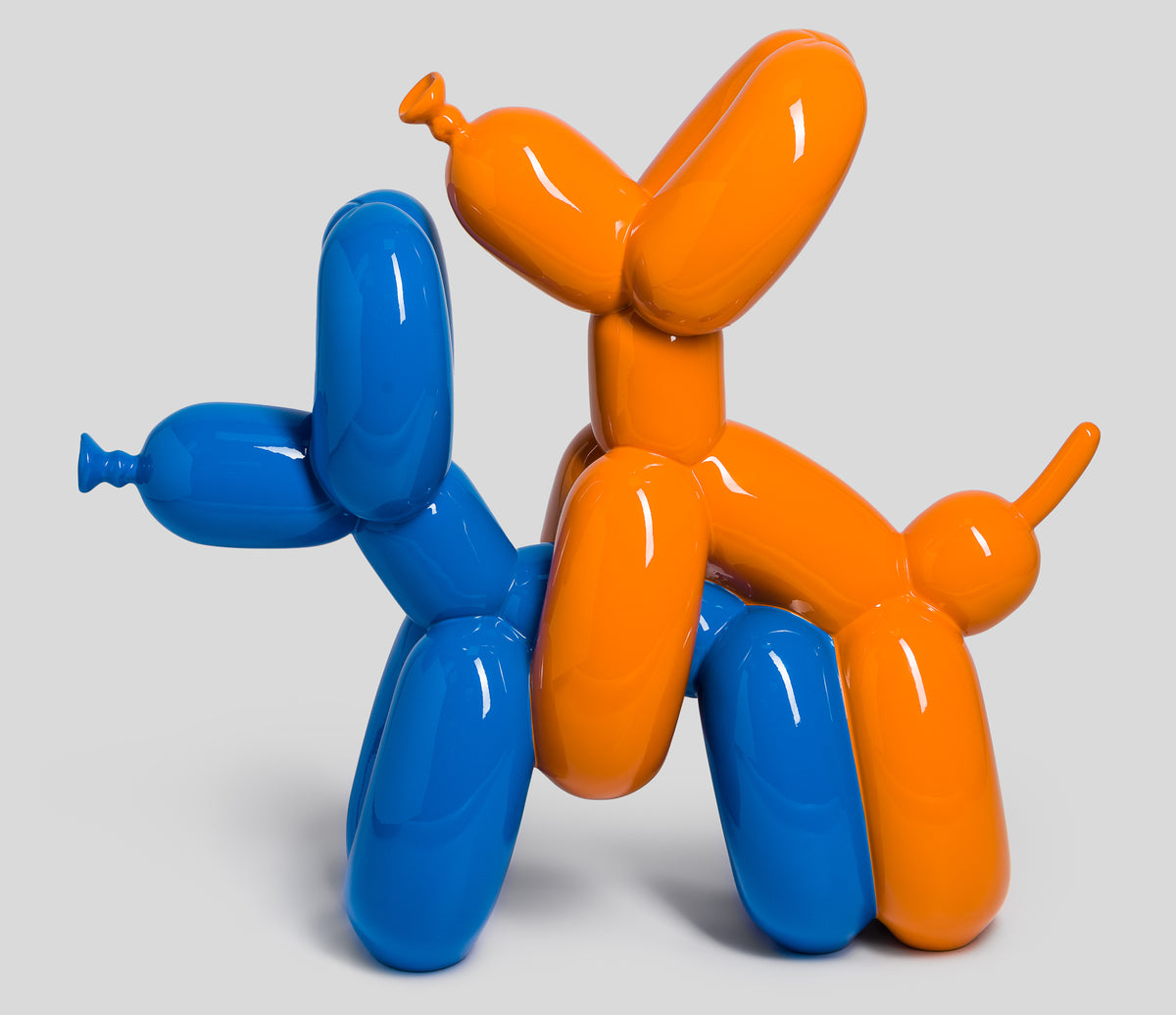 WHN HumpingDogs Orange Blue 4 