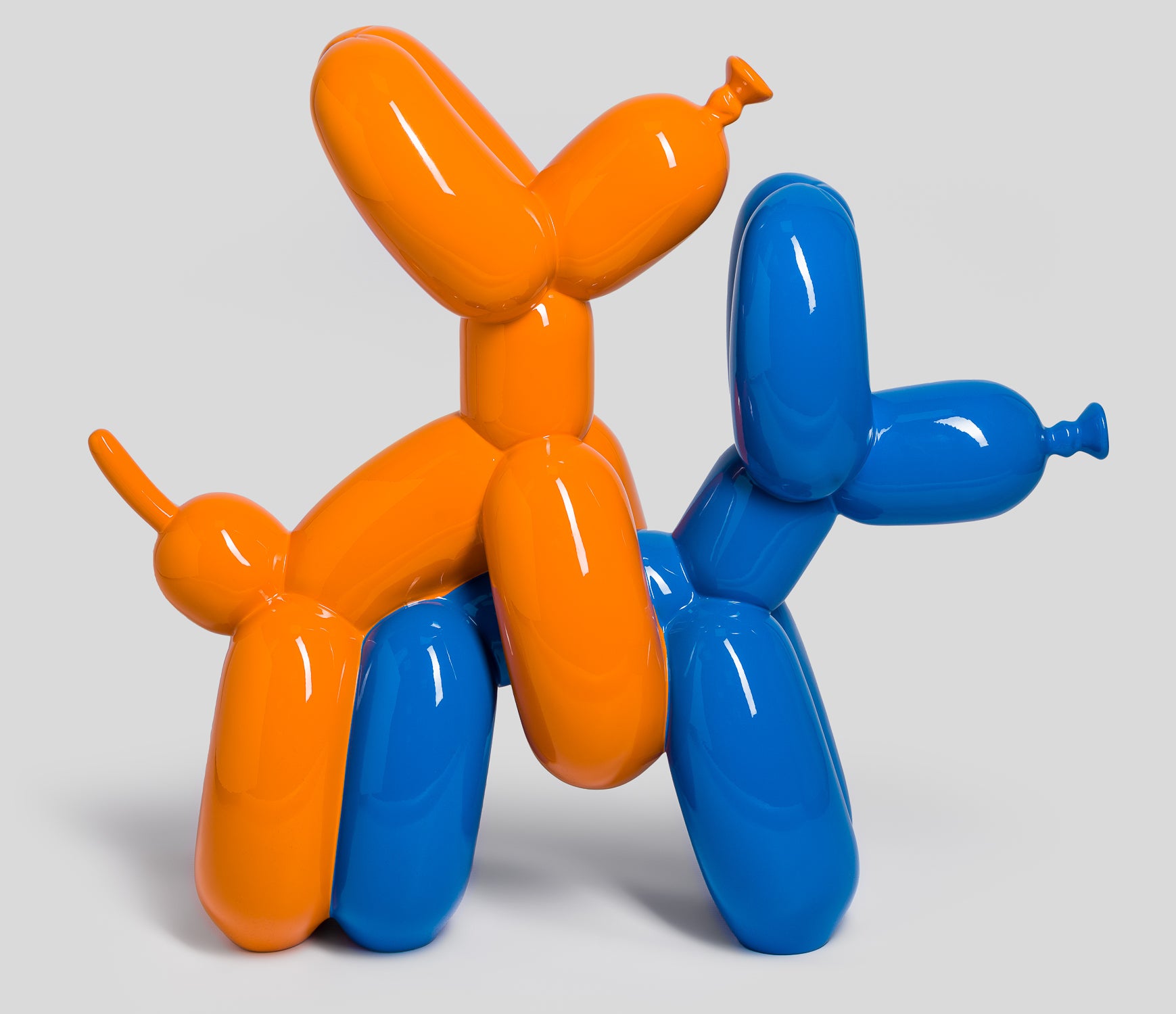 WHN HumpingDogs Orange Blue 7 