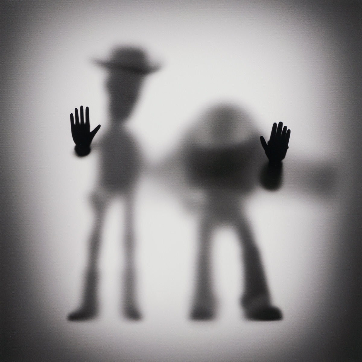 WHN SLE HUM 26631 Buzz   Woody 90 x 90 31 