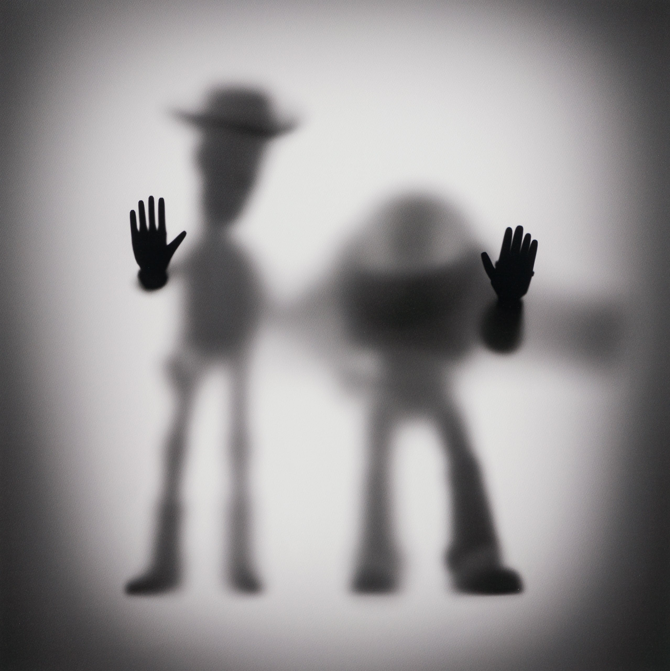 WHN SLE HUM 26631 Buzz   Woody 90 x 90 31 