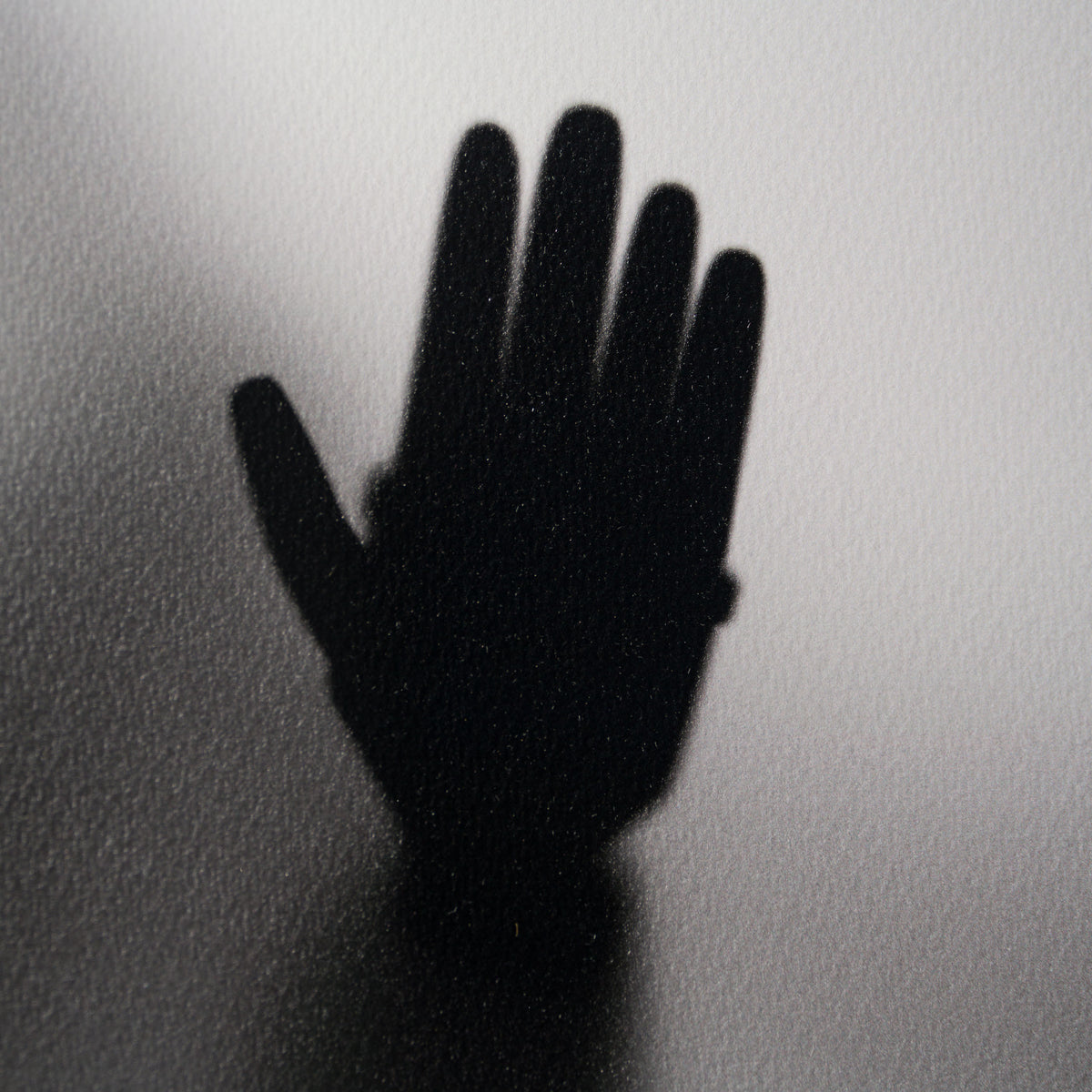 WHN SLE HUM 26631 Buzz   Woody 90 x 90 3 