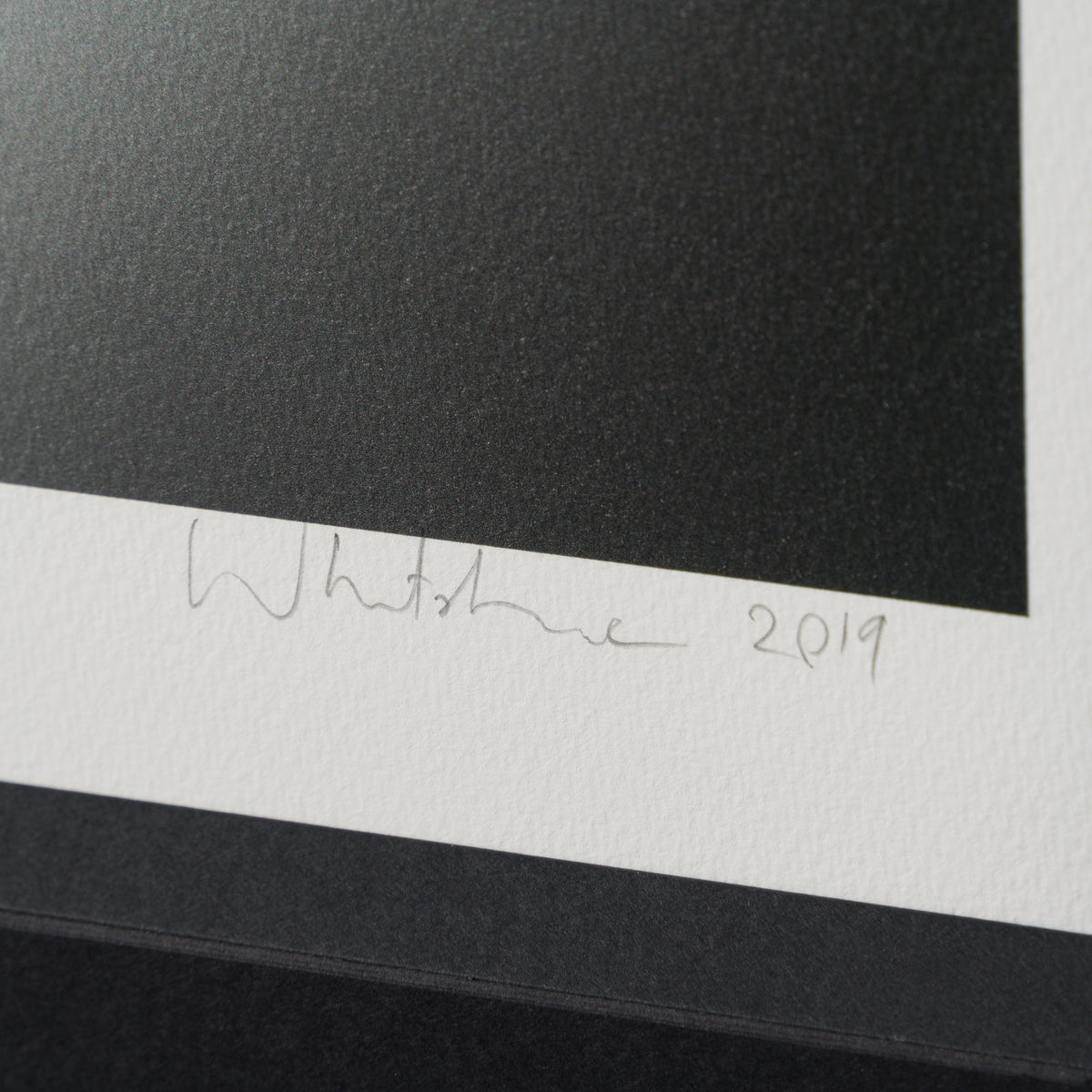 WHN SLE HUM 26635 Charlie   Dog 60 x 60 4 