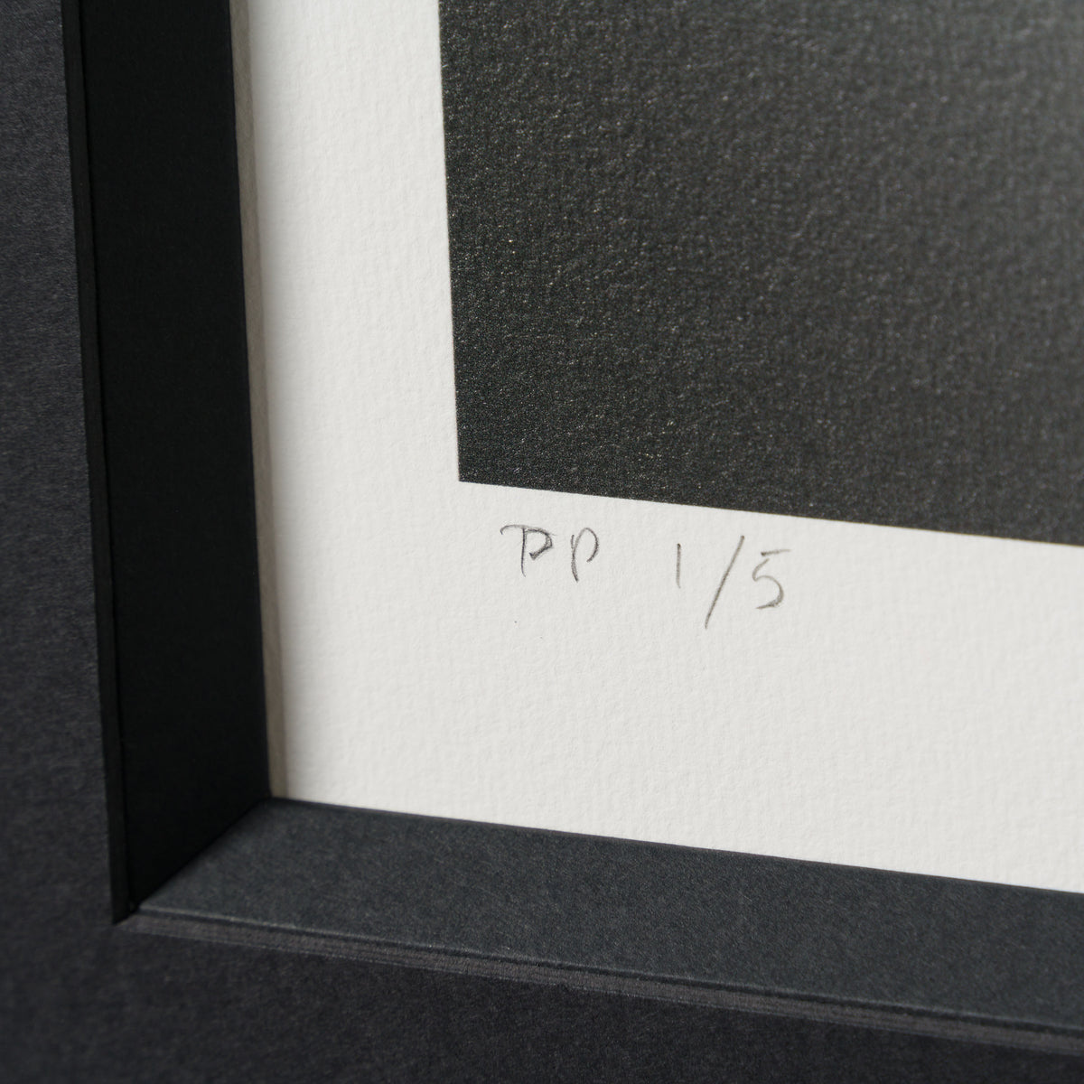 WHN SLE HUM 26638 Coyote   Road Runner 3 