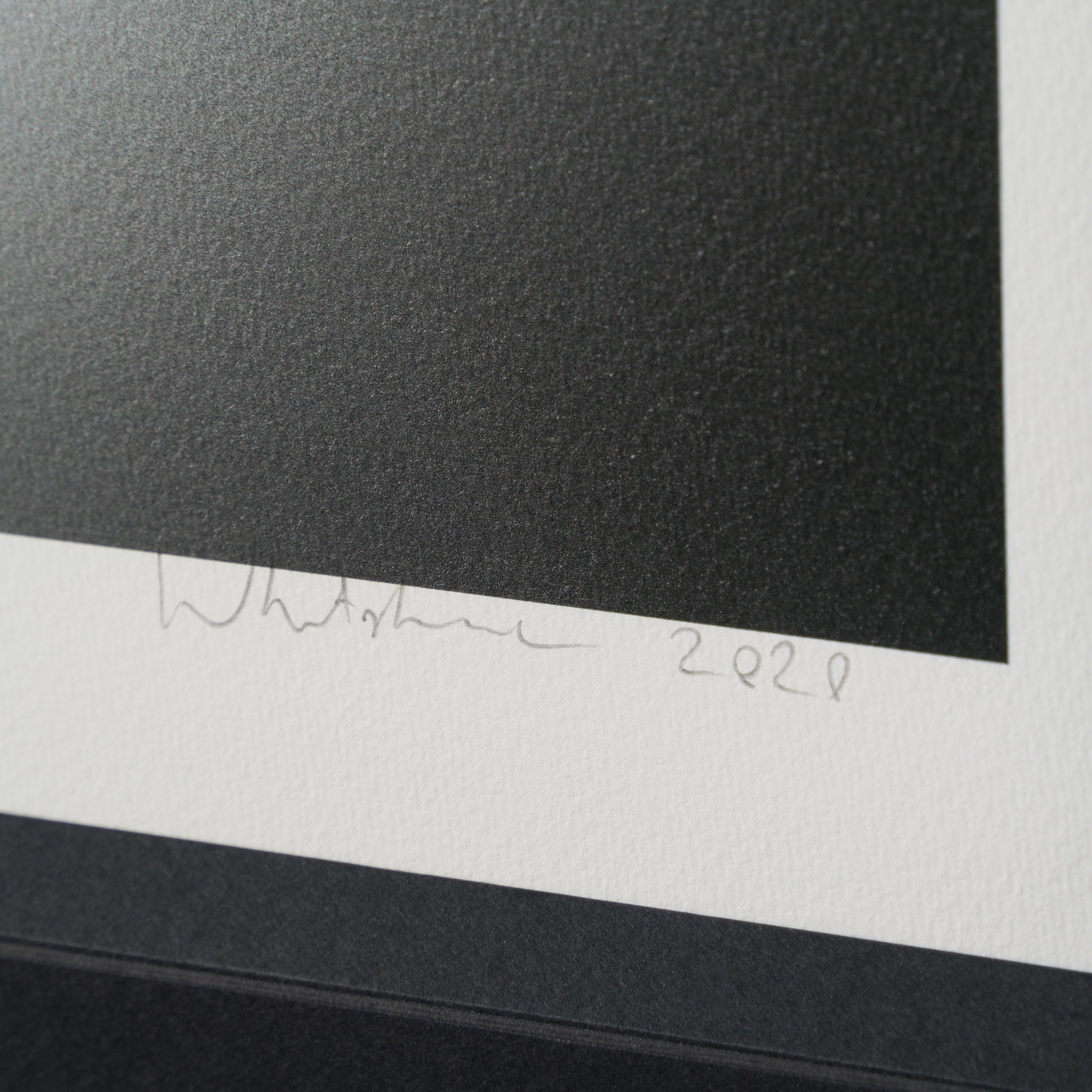 WHN SLE HUM 26638 Coyote   Road Runner 4 