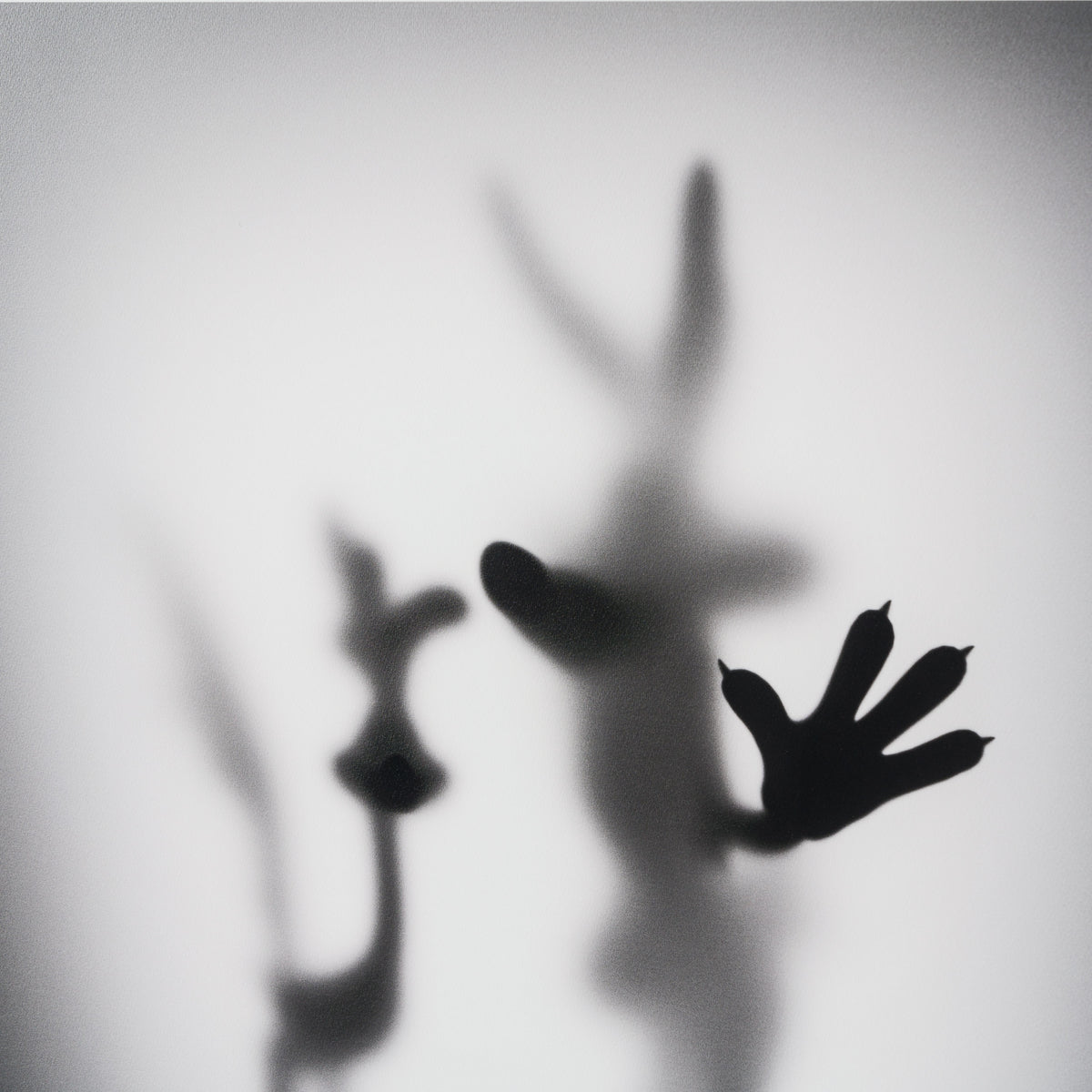 WHN SLE HUM 26639 Coyote   Road Runner 90 x 90 6 