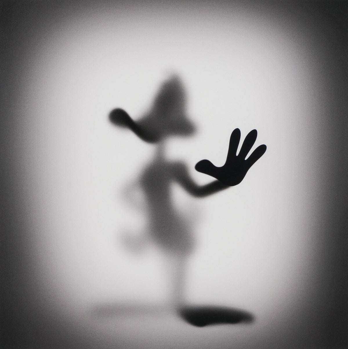 WHN SLE HUM 26643 Daffy 90 x 90 31 