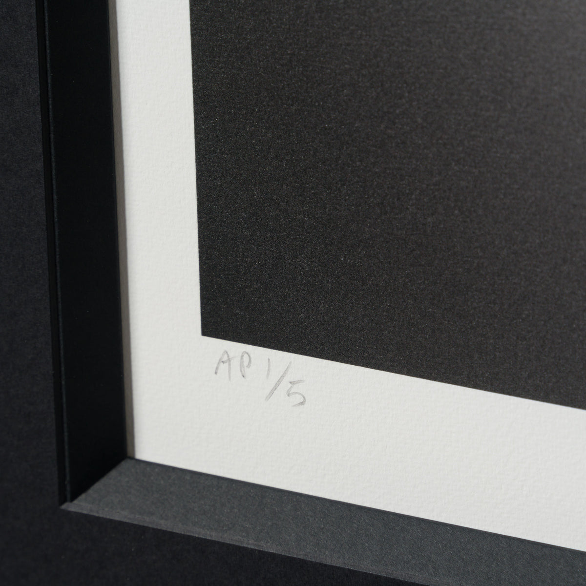 WHN SLE HUM 26643 Daffy 90 x 90 3 