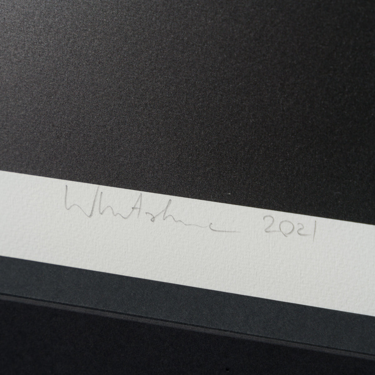 WHN SLE HUM 26643 Daffy 90 x 90 4 