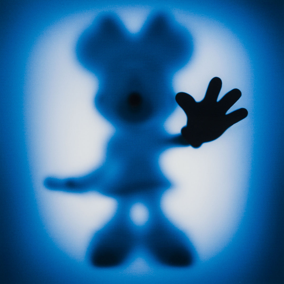 WHN SLE HUM 30386 Minnie Blue 90 x 90 31 