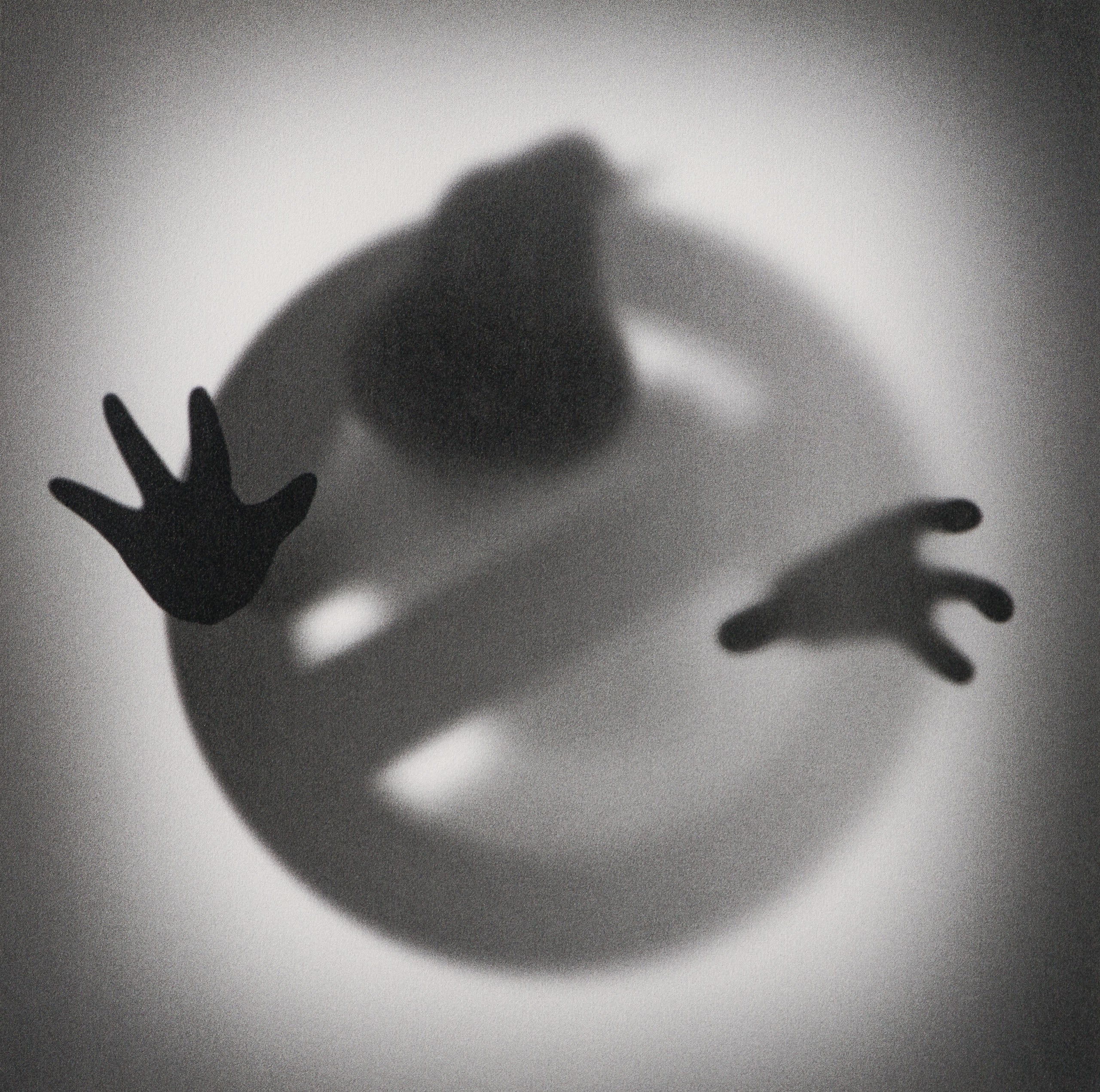 WHN SLE HUM 31721 Gone Bustin  60 x 60 31 