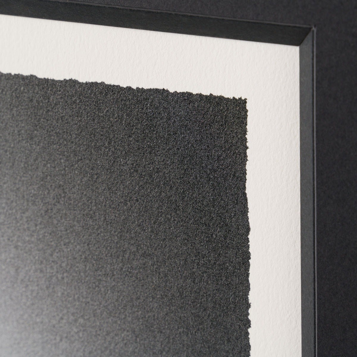 WHN SLE HUM 31721 Gone Bustin  60 x 60 6 