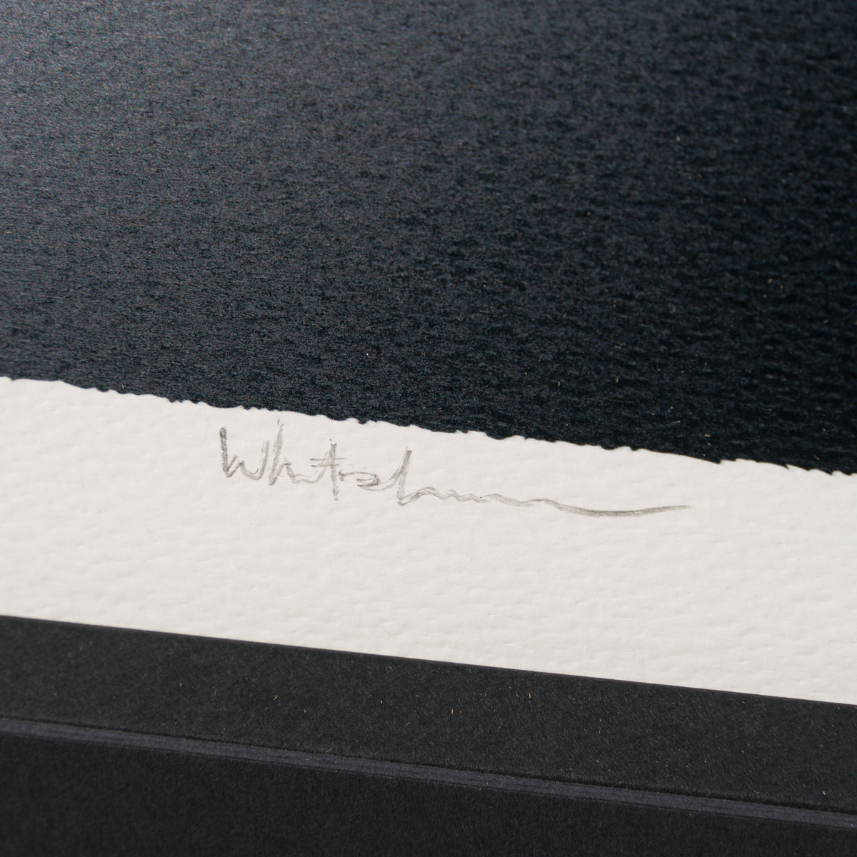 WHN SLE HUM 33006 Gone, Tony 3 