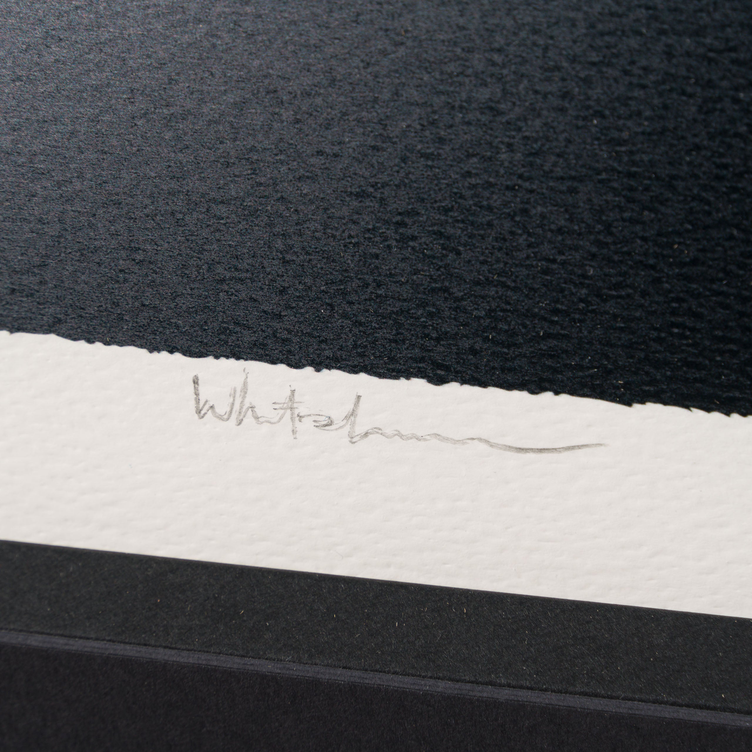 WHN SLE HUM 33006 Gone, Tony 3 