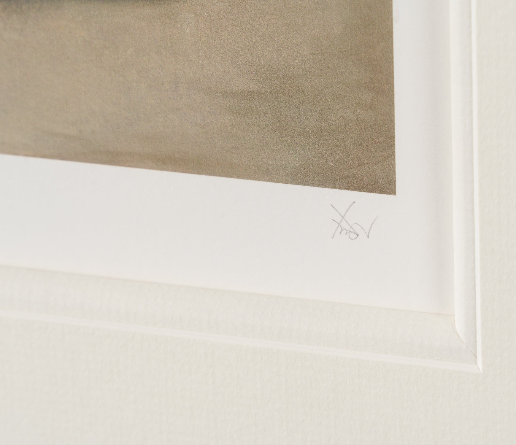 XWA SLE POR 01057 5 Stretch Fido 